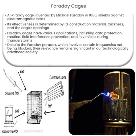 will steel work in a faraday box|faraday cage electromagnetic protection.